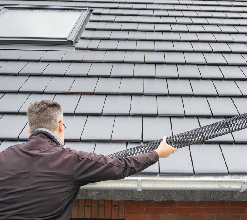 Untitled design 2025 04 30T141340.324